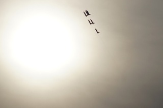 Aerofestival Poznań