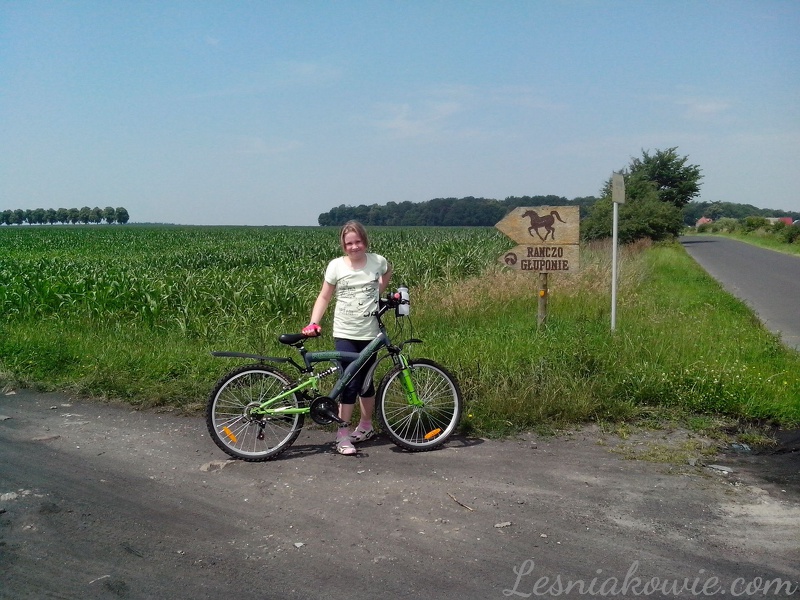 Kolonia na Ranczo Głuponie