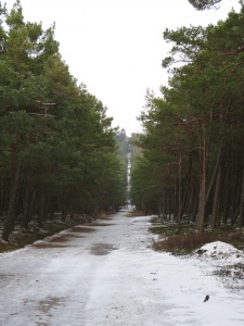 Latarnia morska Czołpino