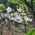 Wielkopolski Park Narodowy