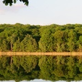 Wielkopolski Park Narodowy